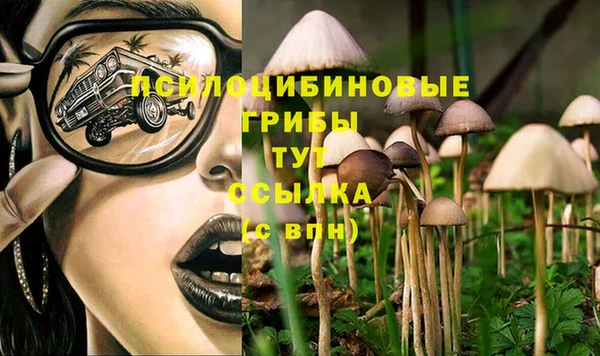 Альфа ПВП Абаза