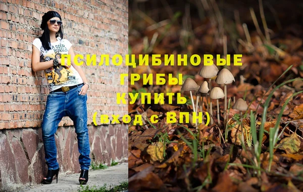 Альфа ПВП Абаза
