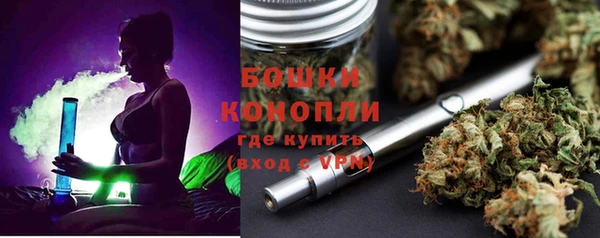сатива Абинск