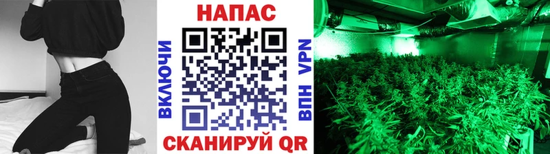 Каннабис семена Фёдоровский